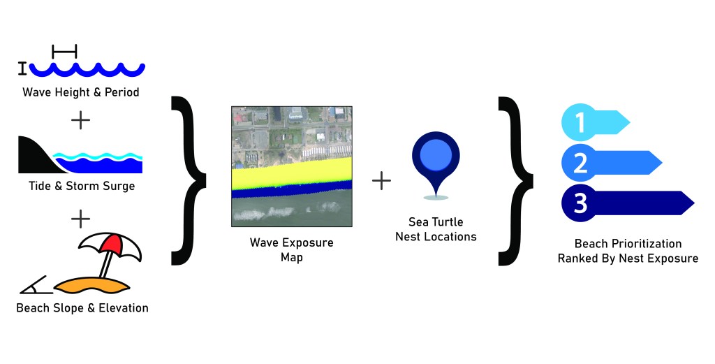 Graphical representation of the project workflow from data collection to model execution to final nesting beach rankings.